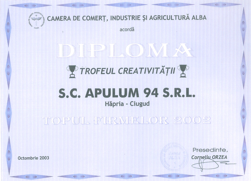 Anul 2002 Diploma
