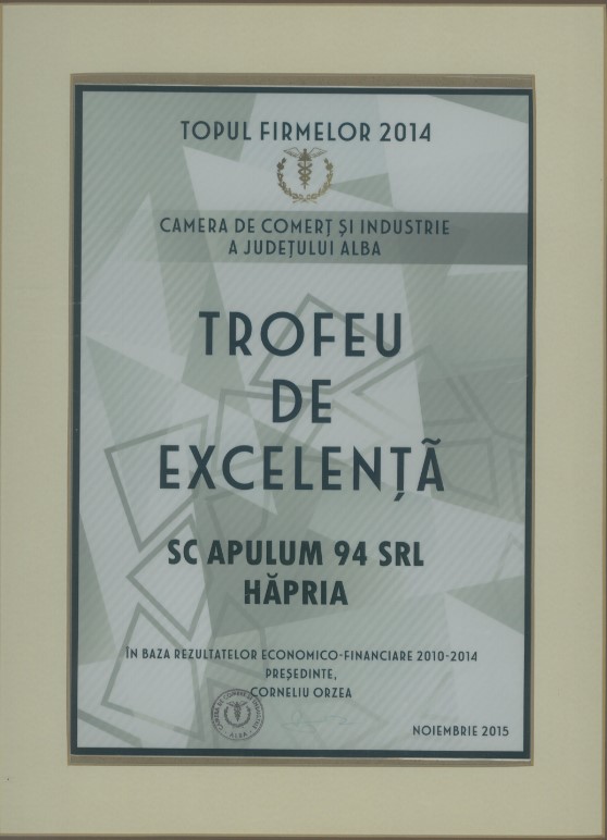 Topul Firmelor - 2014 - Trofeu de excelenta